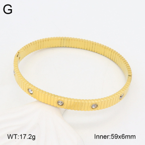 2BA402385bvpl-434  Stainless Steel Bangle