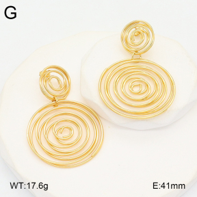 2E2006346bbml-434  Stainless Steel Earrings