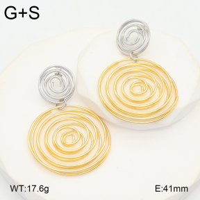 2E2006348bbml-434  Stainless Steel Earrings