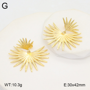 2E2006349vbll-434  Stainless Steel Earrings