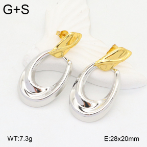 2E2006352vbmb-434  Stainless Steel Earrings