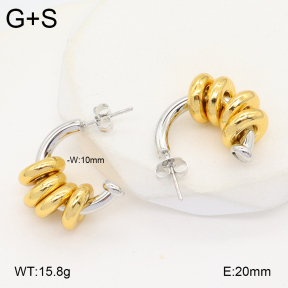 2E2006353vbll-434  Stainless Steel Earrings