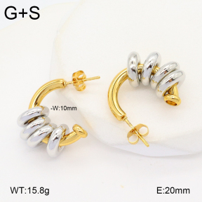 2E2006354vbll-434  Stainless Steel Earrings