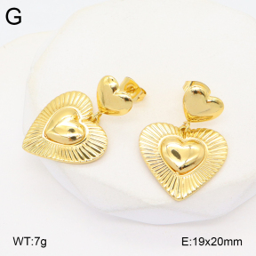 2E2006355vbmb-434  Stainless Steel Earrings