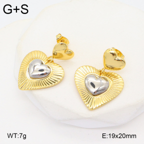 2E2006356vbmb-434  Stainless Steel Earrings