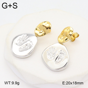 2E2006358vbmb-434  Stainless Steel Earrings