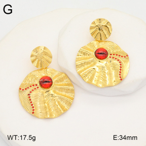 2E3003714vhha-434  Stainless Steel Earrings