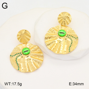 2E3003715vhha-434  Stainless Steel Earrings