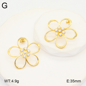 2E3003716vbnl-434  Stainless Steel Earrings