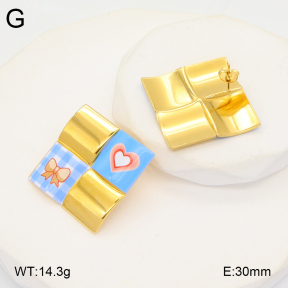 2E3003719bvpl-434  Stainless Steel Earrings