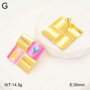 2E3003720bvpl-434  Stainless Steel Earrings