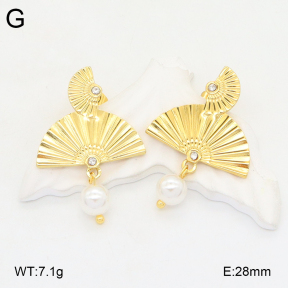 2E3003724ablb-434  Stainless Steel Earrings