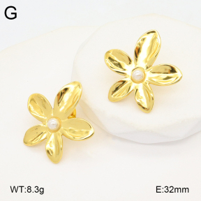 2E3003726baka-434  Stainless Steel Earrings