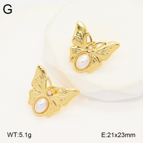 2E3003727baka-434  Stainless Steel Earrings