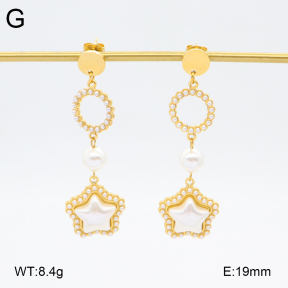 2E3003729ahjb-434  Stainless Steel Earrings