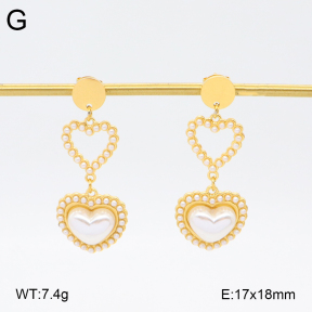 2E3003730ahjb-434  Stainless Steel Earrings