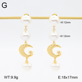 2E3003731ahjb-434  Stainless Steel Earrings