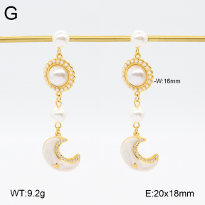 2E3003732ahjb-434  Stainless Steel Earrings