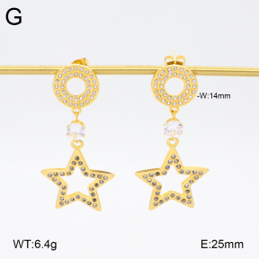 2E3003733ahjb-434  Stainless Steel Earrings