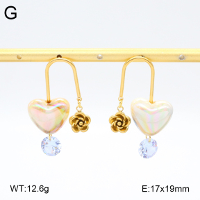 2E3003734bvpl-434  Stainless Steel Earrings