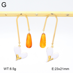 2E3003735bvpl-434  Stainless Steel Earrings