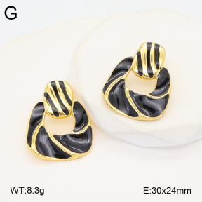 2E3003742ablb-434  Stainless Steel Earrings