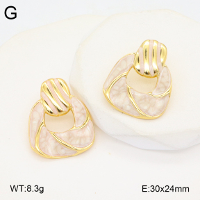 2E3003743ablb-434  Stainless Steel Earrings