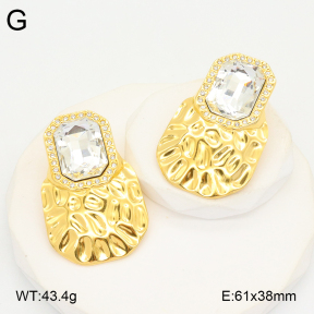 2E4004538vhha-434  Stainless Steel Earrings