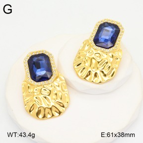 2E4004539vhha-434  Stainless Steel Earrings