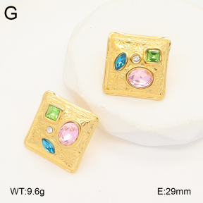 2E4004540abol-434  Stainless Steel Earrings