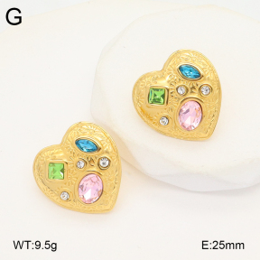 2E4004541abol-434  Stainless Steel Earrings