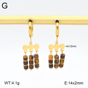 2E4004542bhil-434  Stainless Steel Earrings