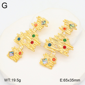 2E4004543bhva-434  Stainless Steel Earrings