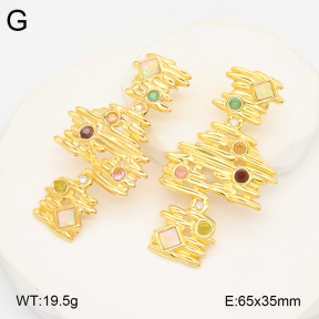 2E4004544bhva-434  Stainless Steel Earrings