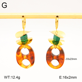 2E4004545bvpl-434  Stainless Steel Earrings