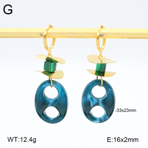 2E4004546bvpl-434  Stainless Steel Earrings