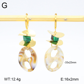 2E4004547bvpl-434  Stainless Steel Earrings