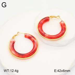2E4004548vbmb-434  Stainless Steel Earrings