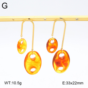 2E4004549bvpl-434  Stainless Steel Earrings