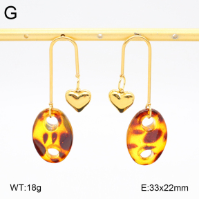2E4004550bvpl-434  Stainless Steel Earrings