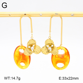 2E4004552bvpl-434  Stainless Steel Earrings