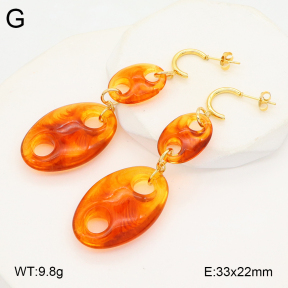 2E4004553abol-434  Stainless Steel Earrings