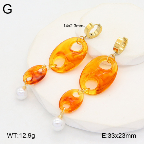 2E4004554abol-434  Stainless Steel Earrings