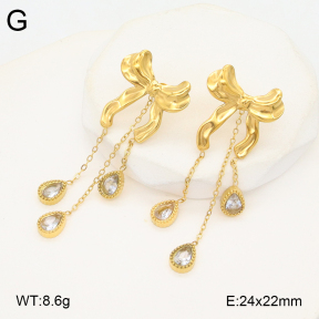 2E4004555bhva-434  Stainless Steel Earrings