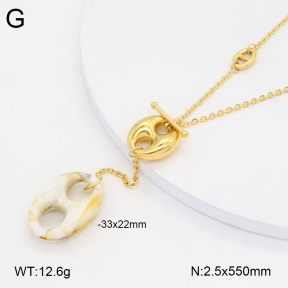 2N4004824bvpl-434  Stainless Steel Necklace