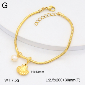 2B3004211vbnl-355  Stainless Steel Bracelet