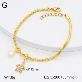 2B3004212vbnl-355  Stainless Steel Bracelet