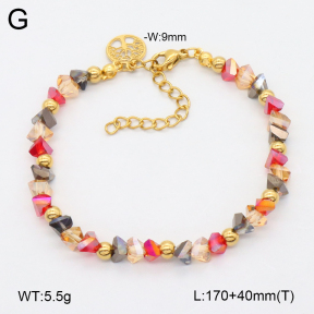 2B4005207vbnb-350  Stainless Steel Bracelet