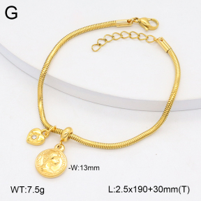 2B4005231vbnl-355  Stainless Steel Bracelet