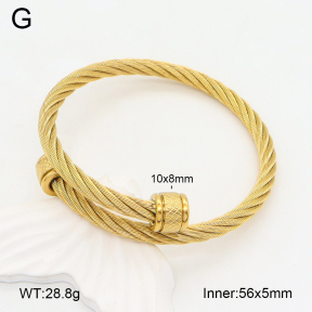 2BA202266vbnl-387  Stainless Steel Bangle